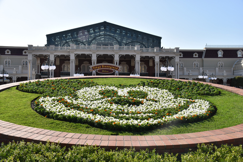 f:id:flowerTDR:20201013092030j:plain f:id:flowerTDR:20201013092030j:plain