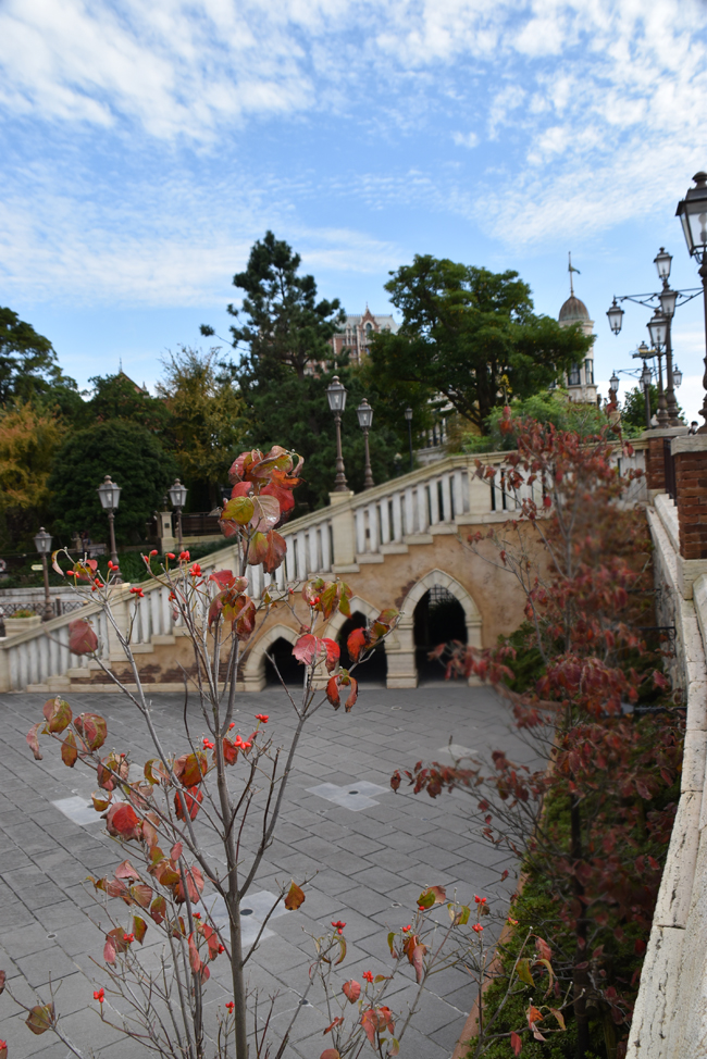 f:id:flowerTDR:20201019072645j:plain f:id:flowerTDR:20201019072645j:plain