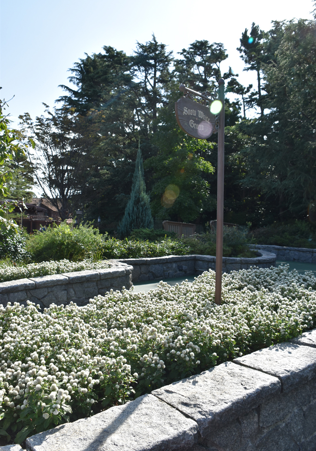 f:id:flowerTDR:20201025095114j:plain