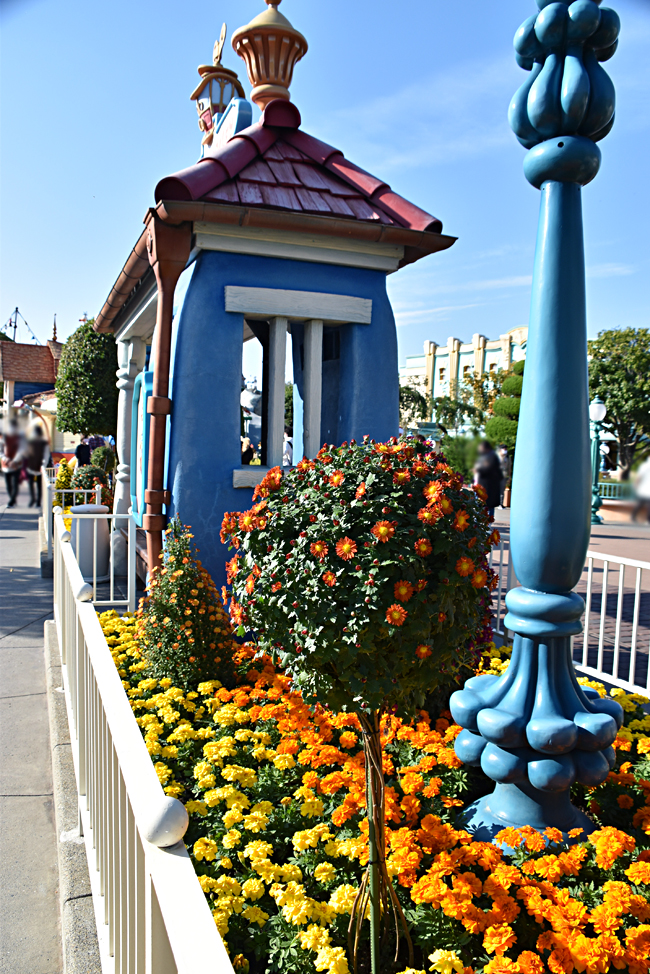 f:id:flowerTDR:20201030093516j:plain