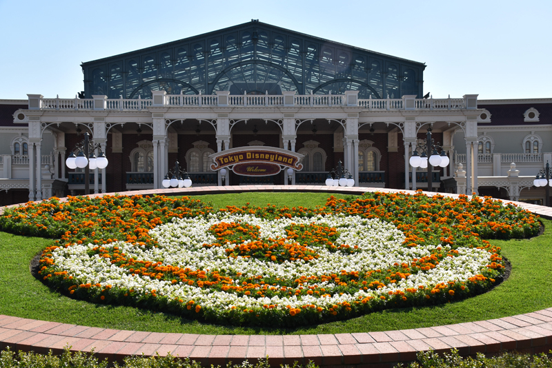 f:id:flowerTDR:20201031091053j:plain f:id:flowerTDR:20201031091053j:plain