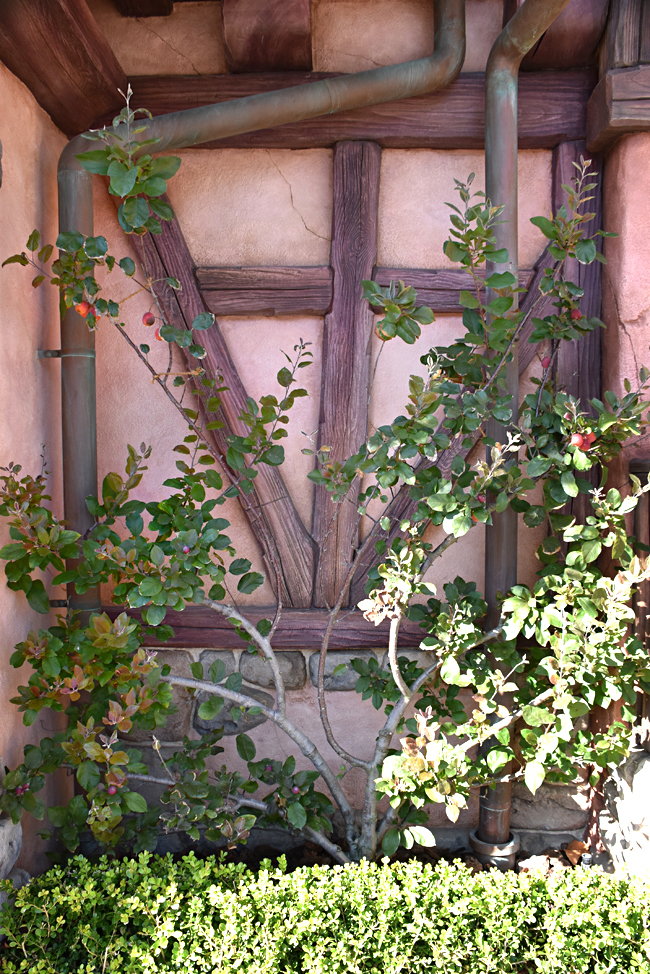 f:id:flowerTDR:20201103102937j:plain