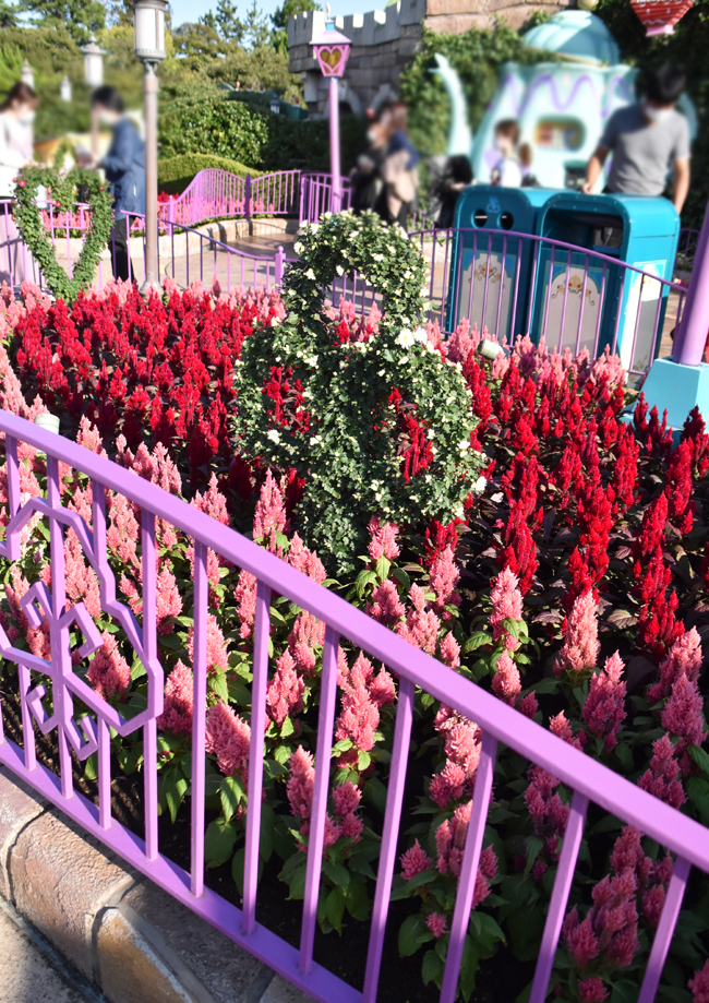 f:id:flowerTDR:20201105231731j:plain