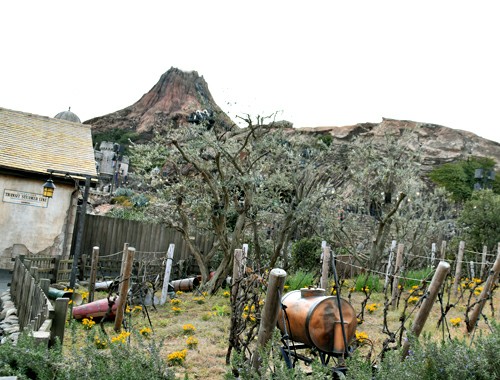f:id:flowerTDR:20201108094428j:image