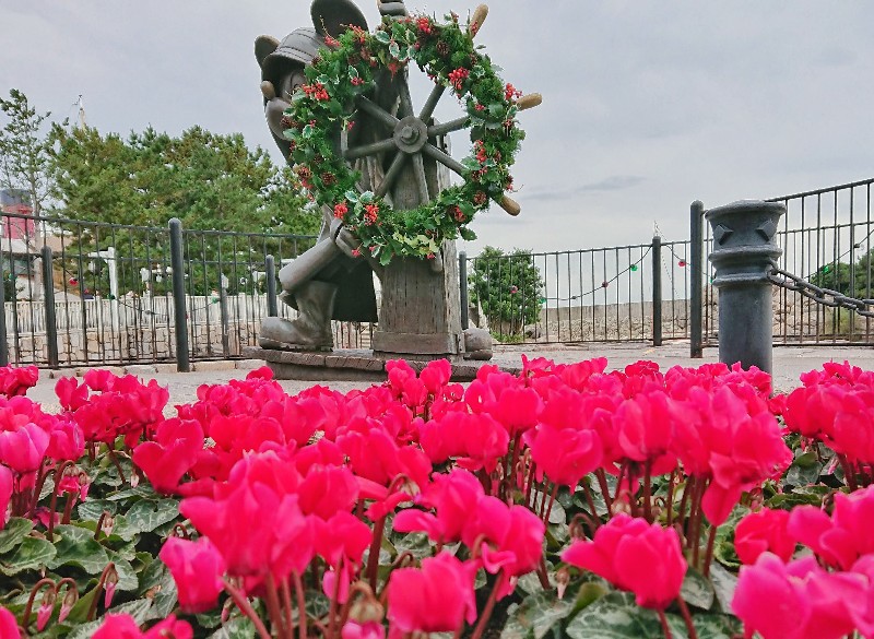 f:id:flowerTDR:20201124090026j:image