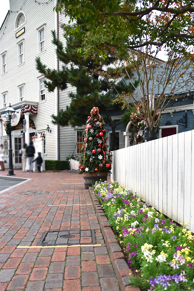f:id:flowerTDR:20201130082628j:plain