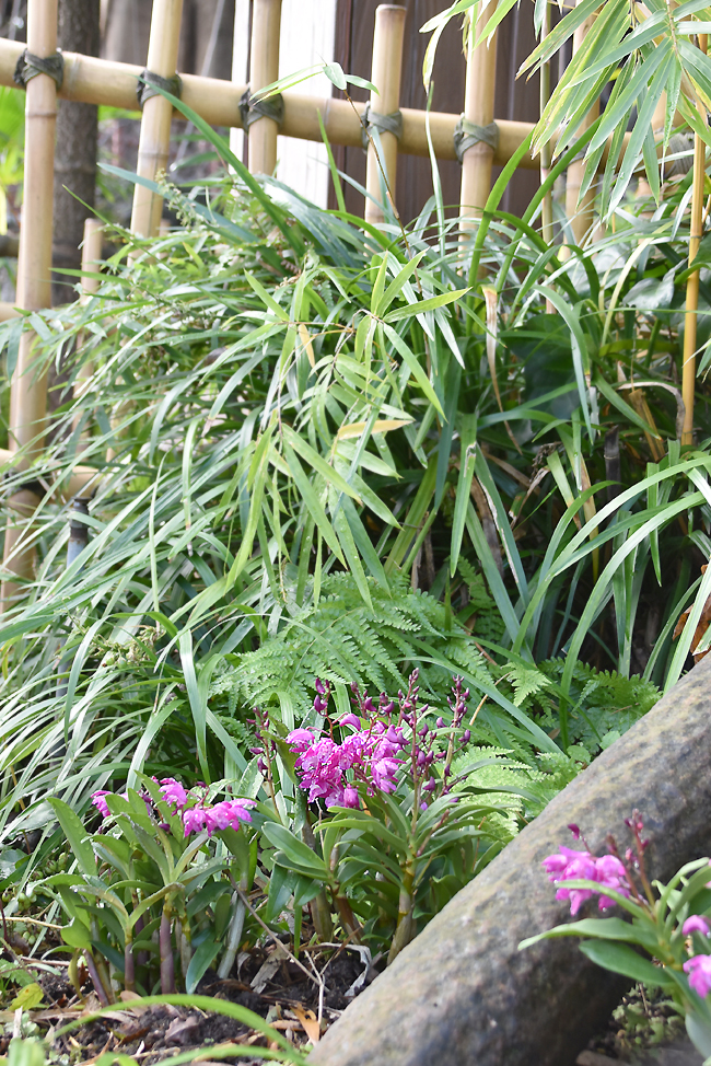 f:id:flowerTDR:20201210084847j:plain