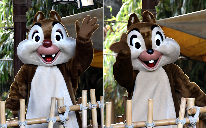 f:id:flowerTDR:20201210084904j:plain