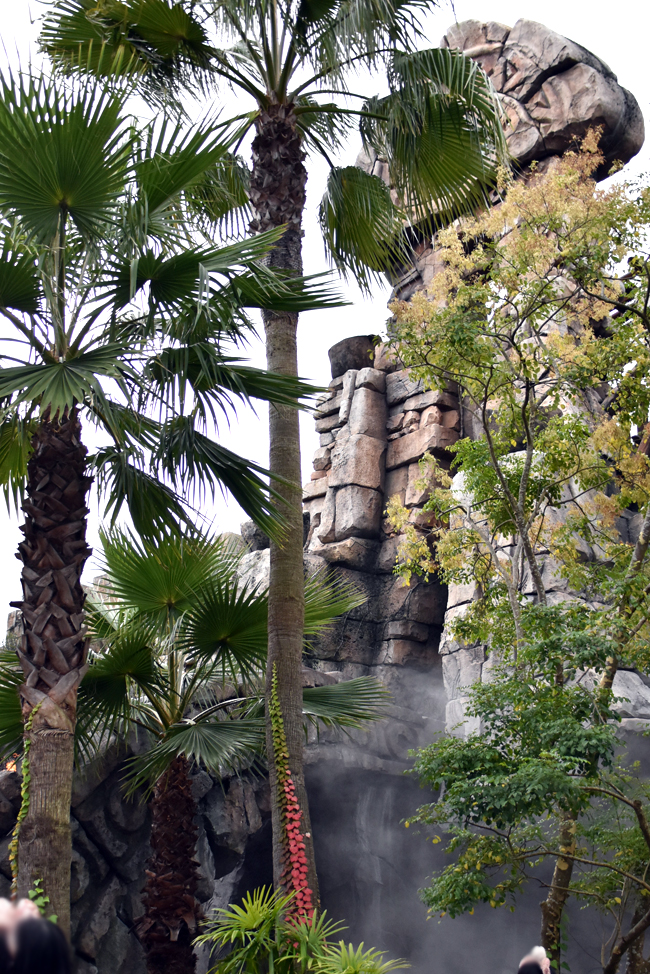 f:id:flowerTDR:20201212111105j:plain