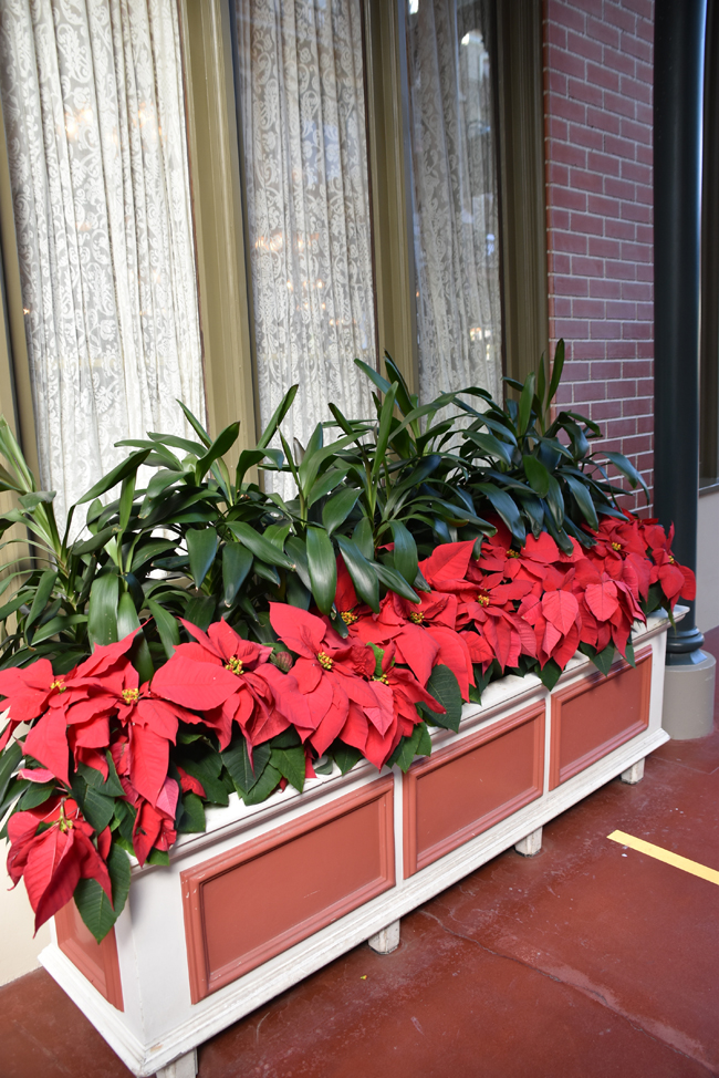 f:id:flowerTDR:20201218092315j:plain