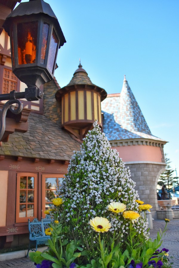 f:id:flowerTDR:20210112090332j:image