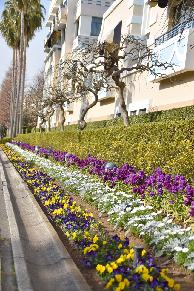 f:id:flowerTDR:20210216094600j:plain