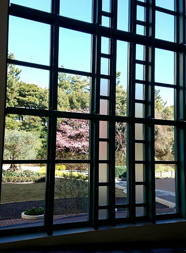 f:id:flowerTDR:20210218102247j:image