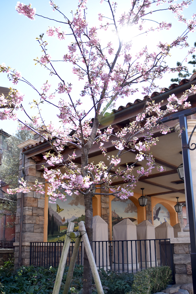 f:id:flowerTDR:20210221100105j:plain