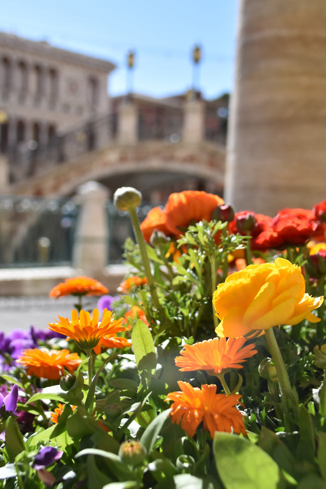 f:id:flowerTDR:20210307081158j:plain