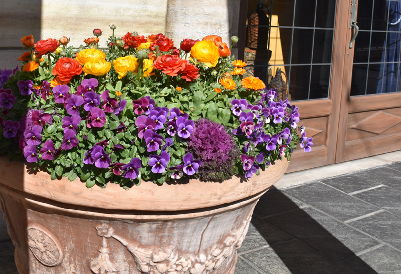 f:id:flowerTDR:20210307081632j:plain