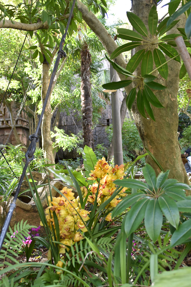 f:id:flowerTDR:20210311103630j:plain