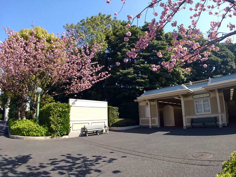 f:id:flowerTDR:20210408081458j:plain