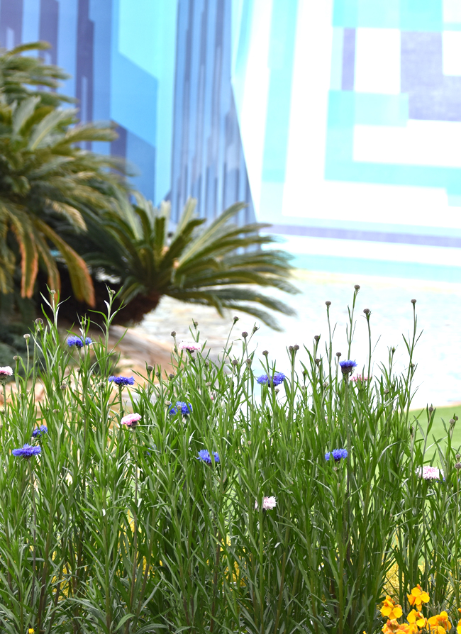 f:id:flowerTDR:20210413223514j:plain