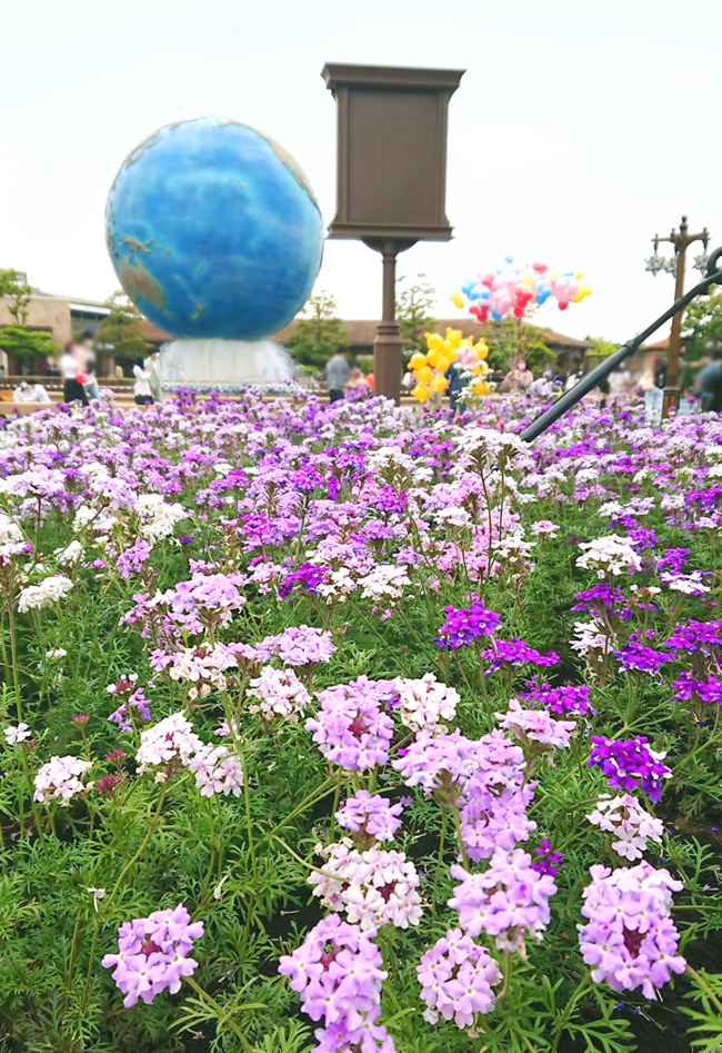 f:id:flowerTDR:20210519083336j:plain