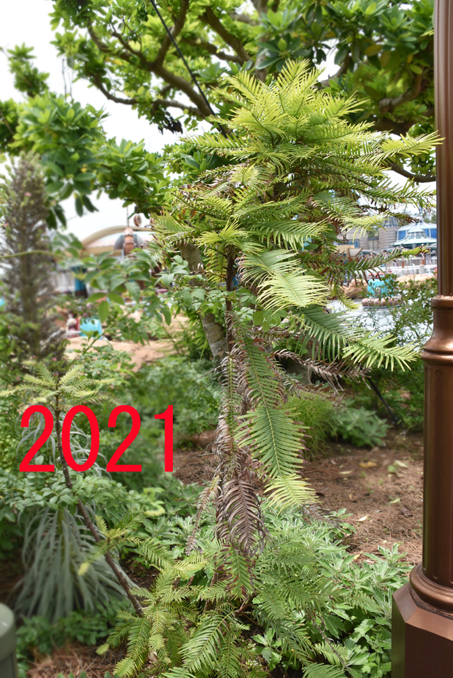 f:id:flowerTDR:20210904082906j:plain