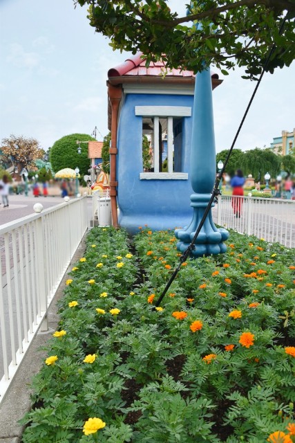 f:id:flowerTDR:20210910084946j:image