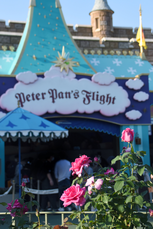 f:id:flowerTDR:20211106085257j:plain