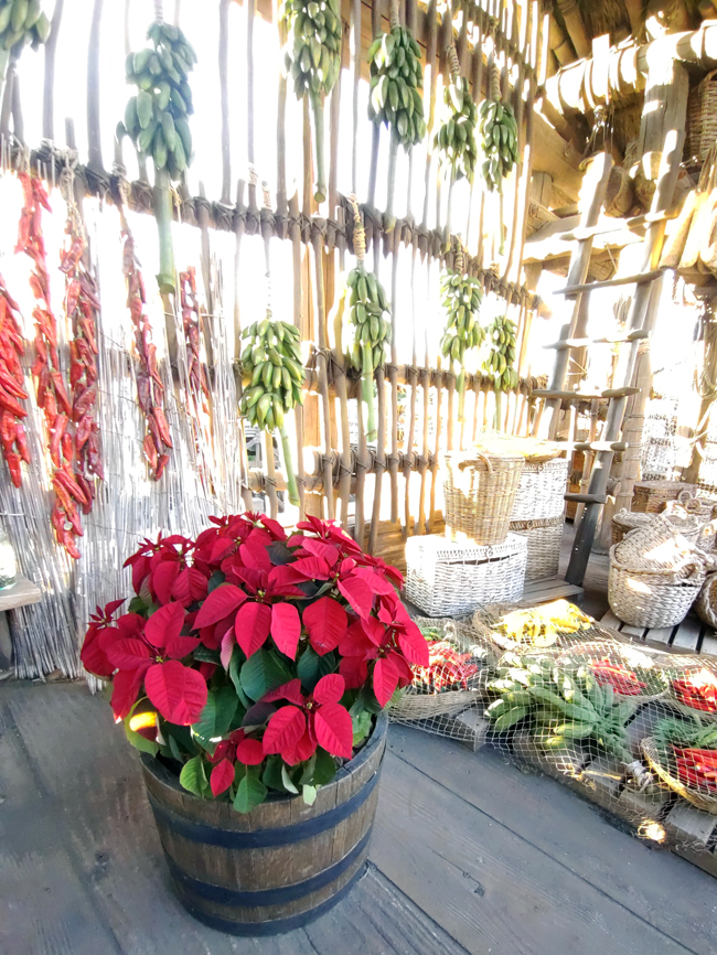 f:id:flowerTDR:20211225103905j:plain