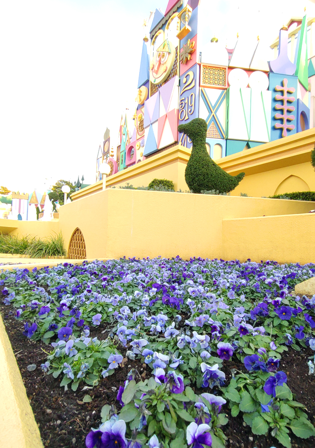 f:id:flowerTDR:20220125083408j:plain