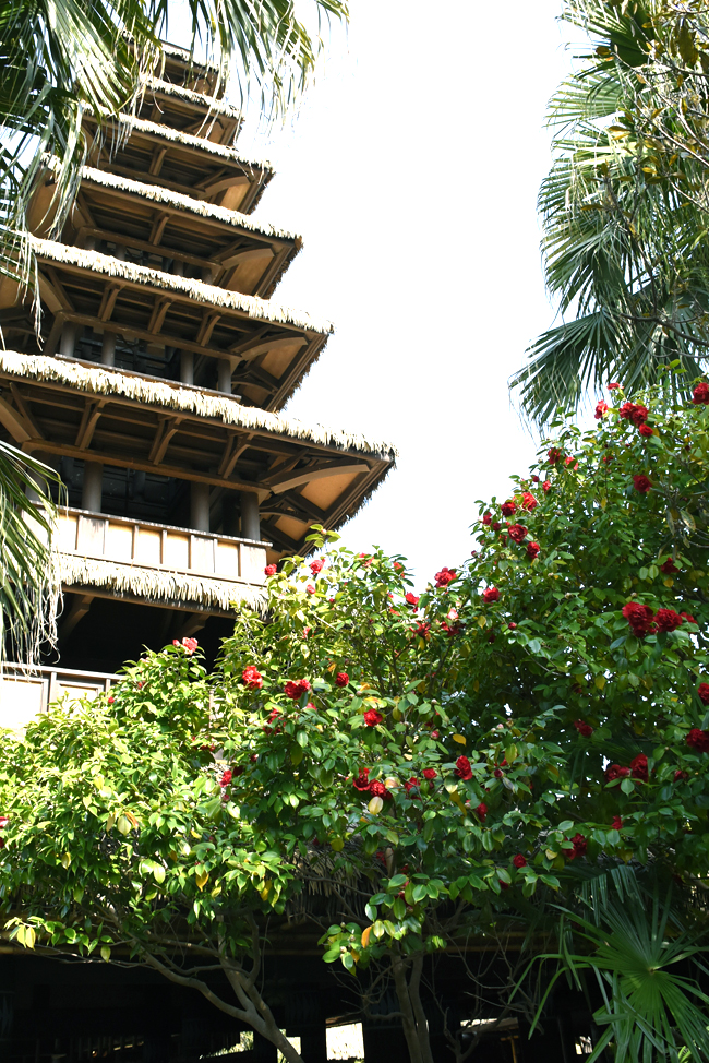 f:id:flowerTDR:20220412084246j:plain