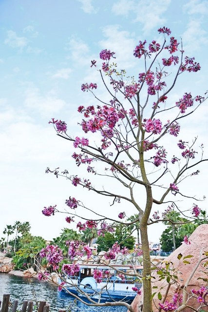 f:id:flowerTDR:20221227224958j:image