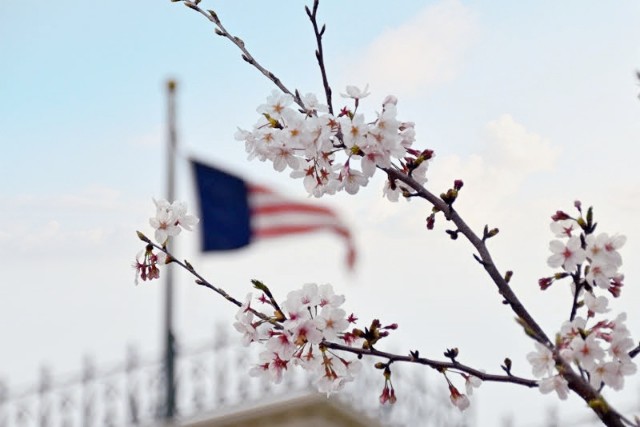 f:id:flowerTDR:20230401090450j:image