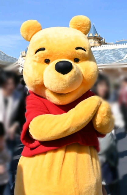 f:id:flowerTDR:20240416091511j:image