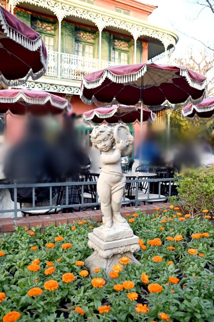 f:id:flowerTDR:20250203092948j:image