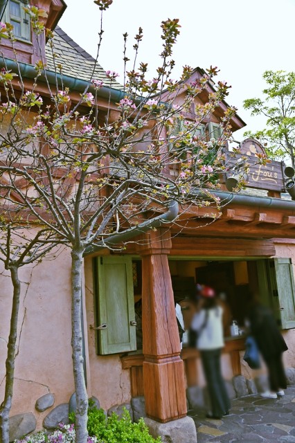 f:id:flowerTDR:20251001094055j:image