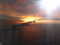 f:id:flowerhunter:20120224193811j:image