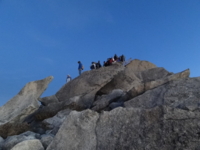 f:id:flowerhunter:20120226071559j:image