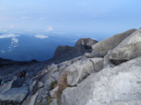 f:id:flowerhunter:20120226072031j:image