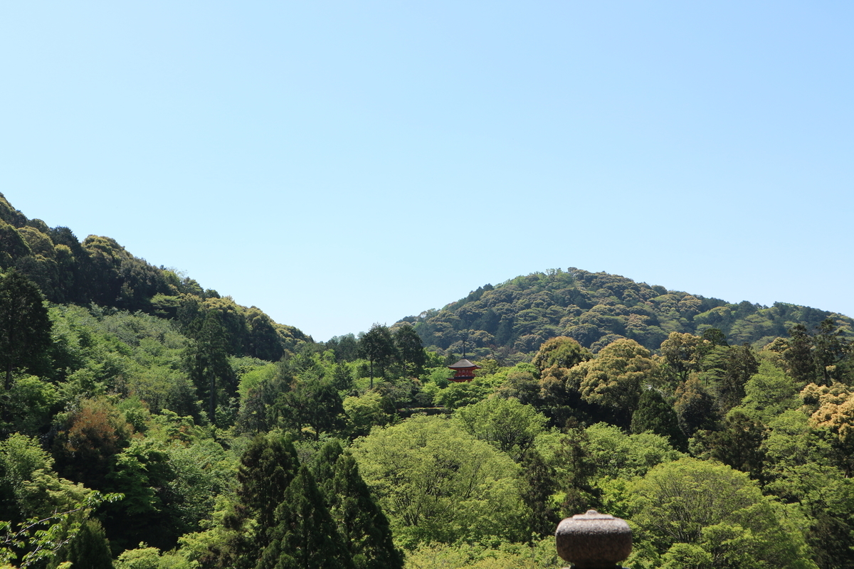 f:id:flowerphoto:20190907123607j:plain