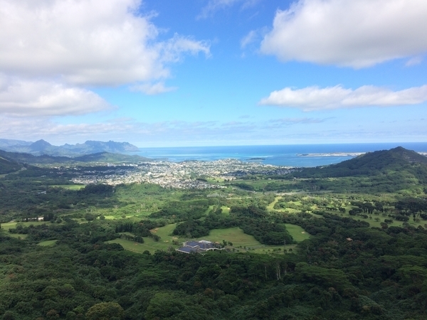 f:id:flowerphoto:20190928004231j:plain f:id:flowerphoto:20190928004231j:plain