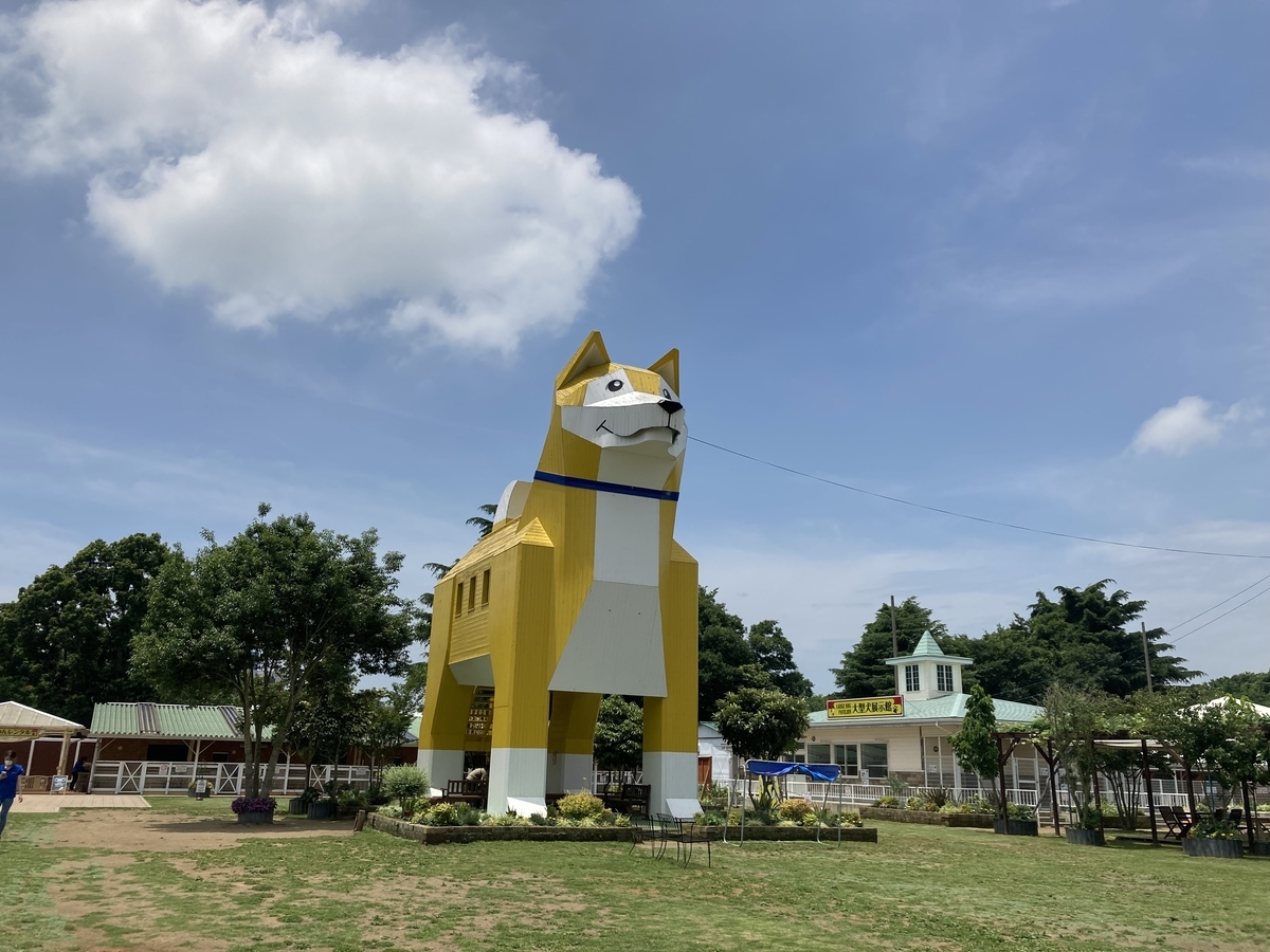 わんわんランド】北関東最大級！ワンちゃんと1日楽しめるペット