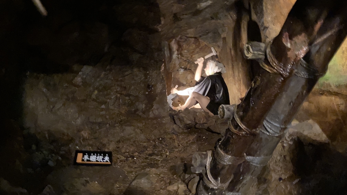 足尾銅山】江戸時代の発見から鉱毒事件までの歴史を振り返る - tochipro