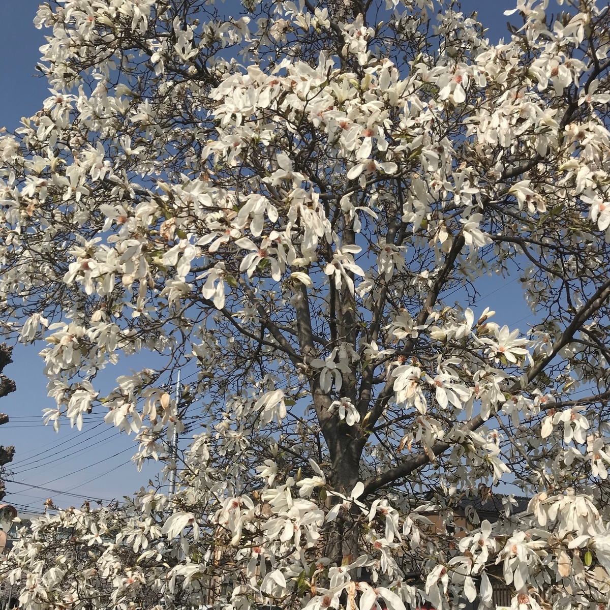 秩父日帰り旅行 一人旅 Floweuphoria S Blog