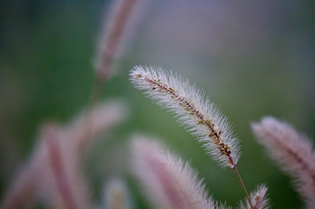 f:id:flowingclouds:20181114163010j:plain f:id:flowingclouds:20181114163010j:plain
