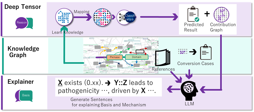 Revolutionizing Cancer Genomics: The Power of XAI and Knowledge Graphs ...