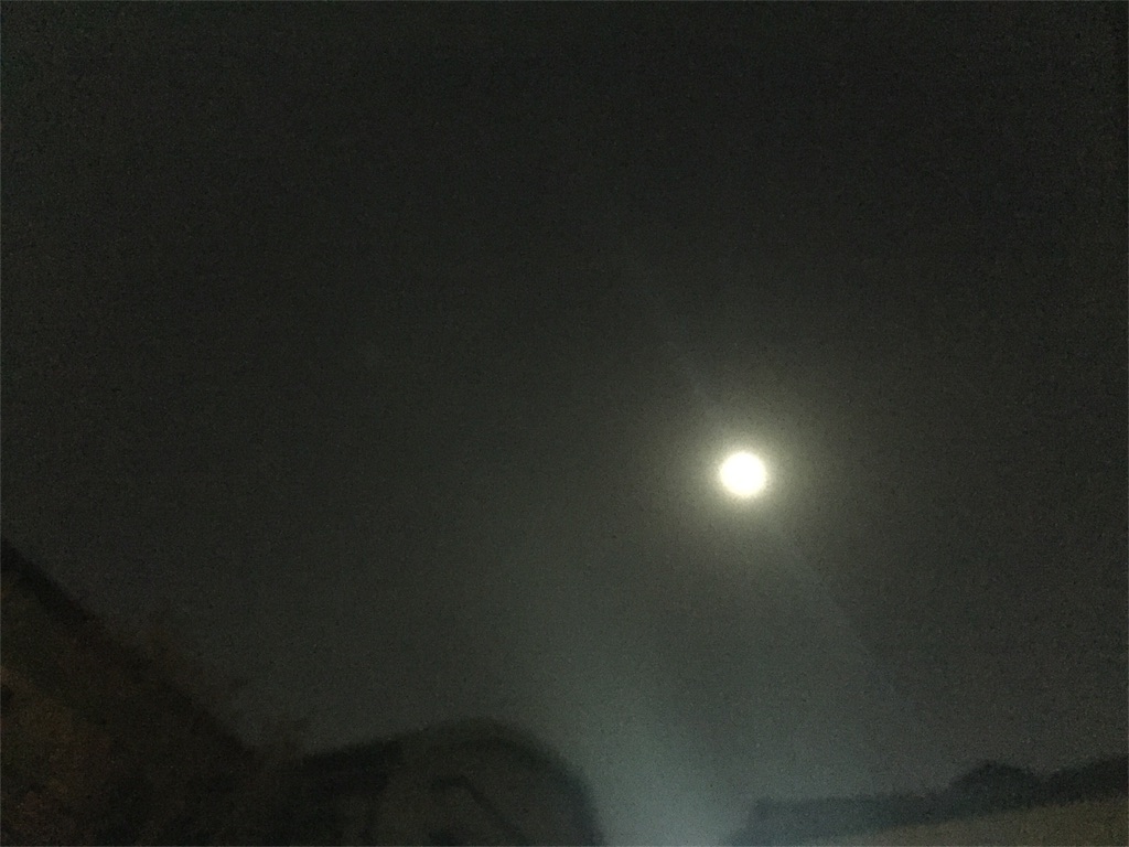 f:id:fluerchante:20180131223542j:image f:id:fluerchante:20180131223542j:image