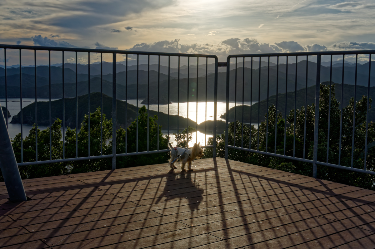 【三重・南伊勢】愛犬と巡る絶景!鵜倉園地で見江島展望台の「ハートの入り江」と夕焼けを堪能2 たちばな展望台