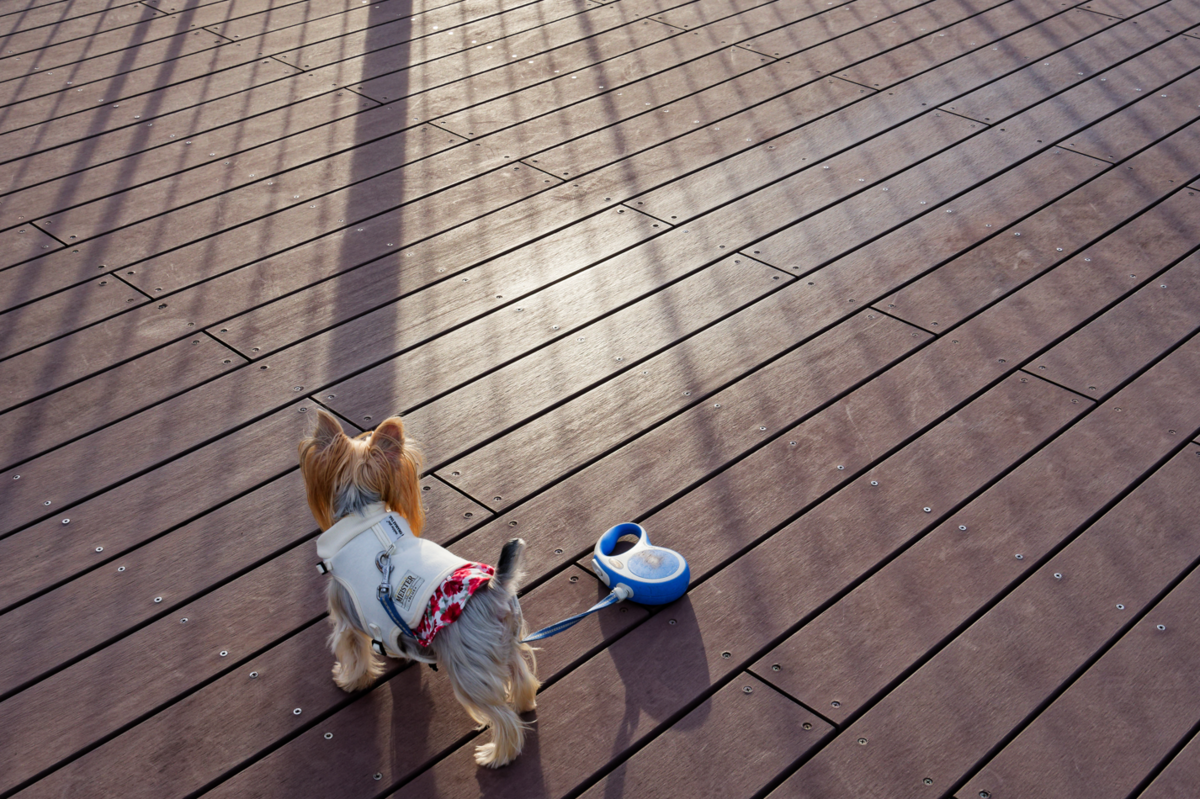 【三重・南伊勢】愛犬と巡る絶景!鵜倉園地で見江島展望台の「ハートの入り江」と夕焼けを堪能2 たちばな展望台