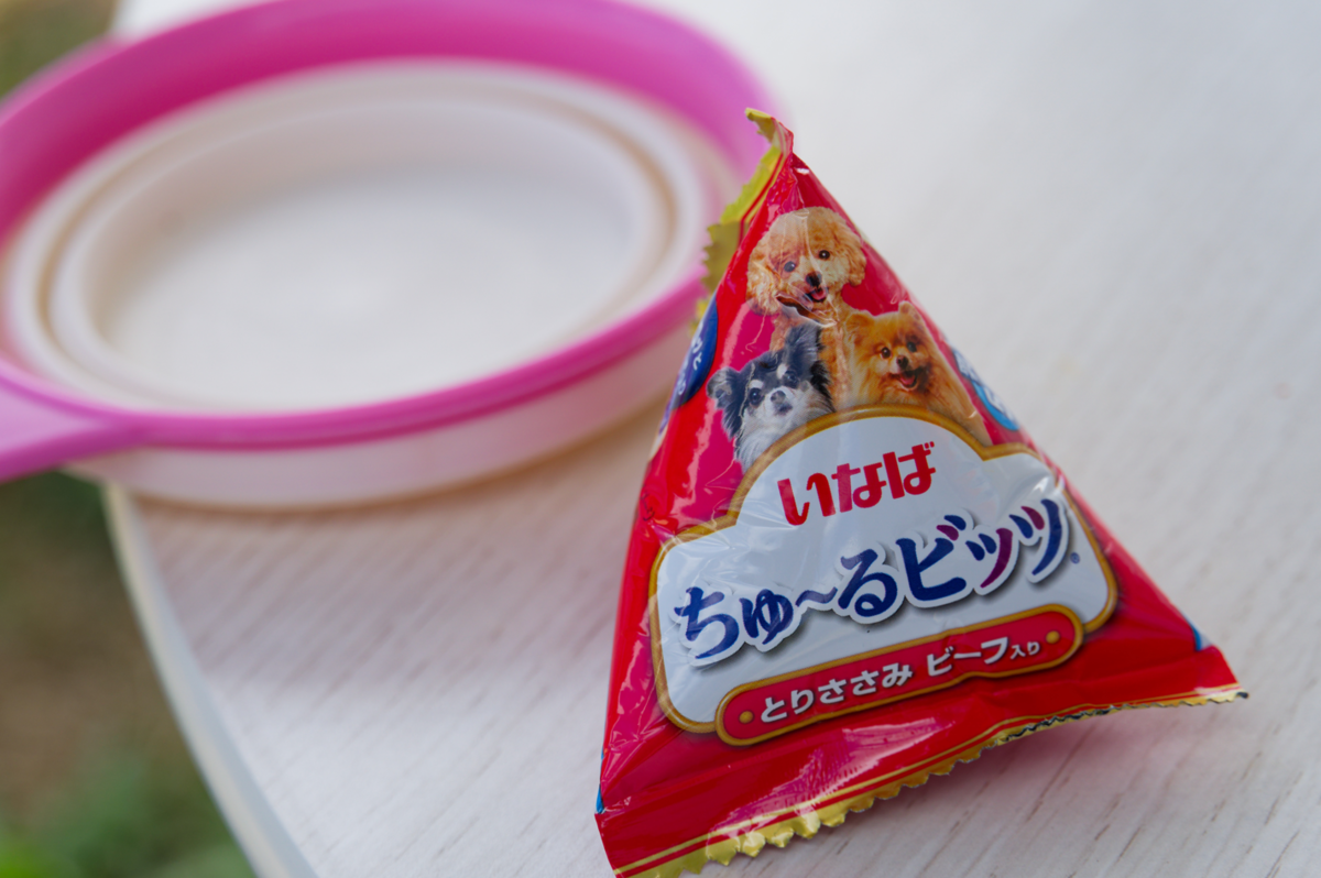 【憧れ実現！】花の駅せらでコスモスと過ごす至福のキャンプステイ✨（愛犬との思い出も満載！）