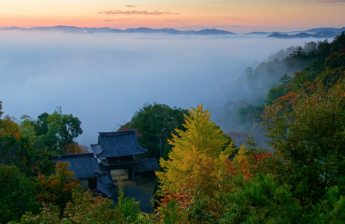 🍁絶景独り占め!亀岡・千手寺の雲海&紅葉🍁